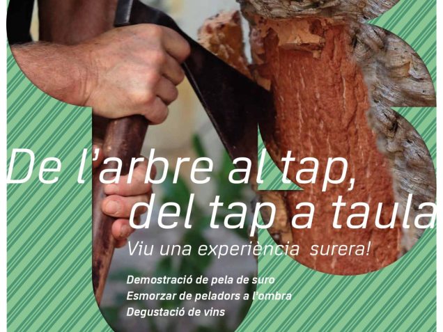 Tot a punt per a les matinals sureres