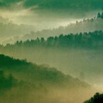 Imatge artística de diferents vessants de les Gavarres amb boira.