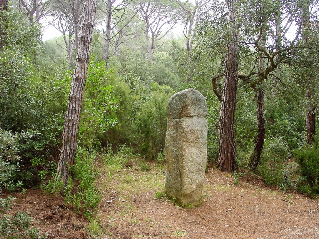 La imatge del Menhir de la Murtra no denota la seva imponéncia. Aquesta pedra dreta mesura 2'35 cm d'alçada, 0'70 cm estan enterrats. Es de tipus fal·liforme i de secció quadrada. No es sap si tindrien una funció de delimitació territorial o formarien part d'algun ritual. Aquest exemplar es troba molt aprop del dolmen de la Cova d'en Daina.