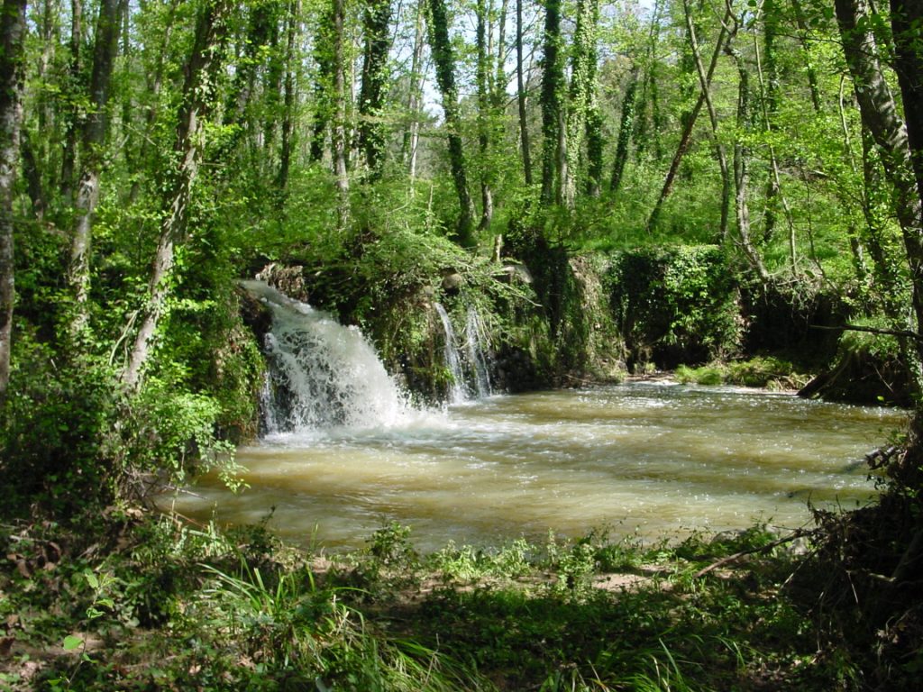 La riera agafa el nom de la propietat. És una riera intermitent de les Gavarres però que en el seu moment hi van construir un molí fariner. En la imatge es veu la resclosa del molí de Can Vilallonga amb l'aigua brollant per sobre i caient amb una cascada petita a la bassa que s'hi ha fet a sota.