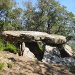 La imatge ens mostra un dels sepulcres dolmènics de les Gavarres. El dolment dels Tres Peus deu el seu nom a les tres lloses verticals que sustenten la coberta. És del tipus de galeria catalana i es troba a la Serra d'en Cals un dels focus de més concentració a les Gavarres, juntament amb Calonge i Romanyà (Santa Cristina). Tot i no apreciar-se en la imatge aquest dolment té un grafiti de la guerra civil espanyola on hi ha les sigles POUM.