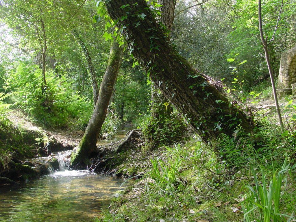 La imatge mostra un àmbient de riera paradisíac. La riera de Sant Cristòfol transcórrer entremig de verns i flora de ribera que li donen un marc de diferents verds molt bonic. En el punt de la imatge la riera arriba a la font de Sant Cristòfol, lloc molt popular per la gent de Llambilles.