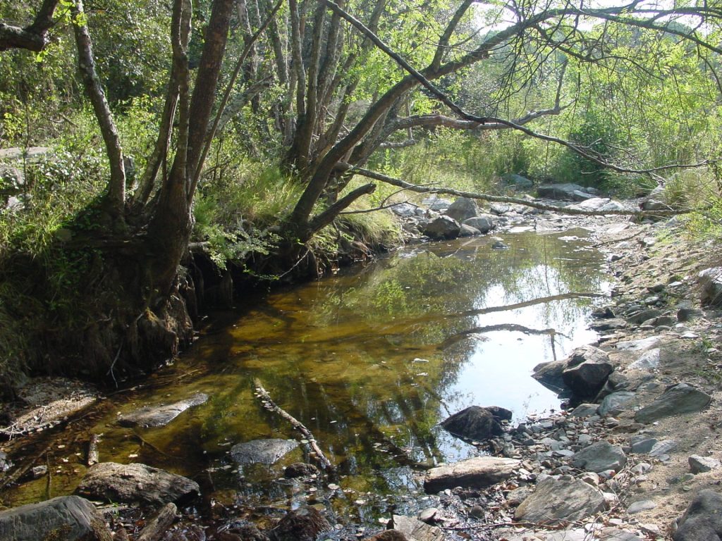 La foto mostra una gorga del riu Daró durant l'estiu on encara hi ha aigua i on la gent de l'entorn i acostuma anar a banyar-se.