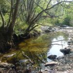 La foto mostra una gorga del riu Daró durant l'estiu on encara hi ha aigua i on la gent de l'entorn i acostuma anar a banyar-se.