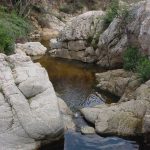 Les petites rieres de les Gavarres ens ofereixen boniques imatges de gorgues com la riera de Camós a la fotografia. Aquí veiem una gorga formada enmig de diàclasis de granit, ben arrodonides.