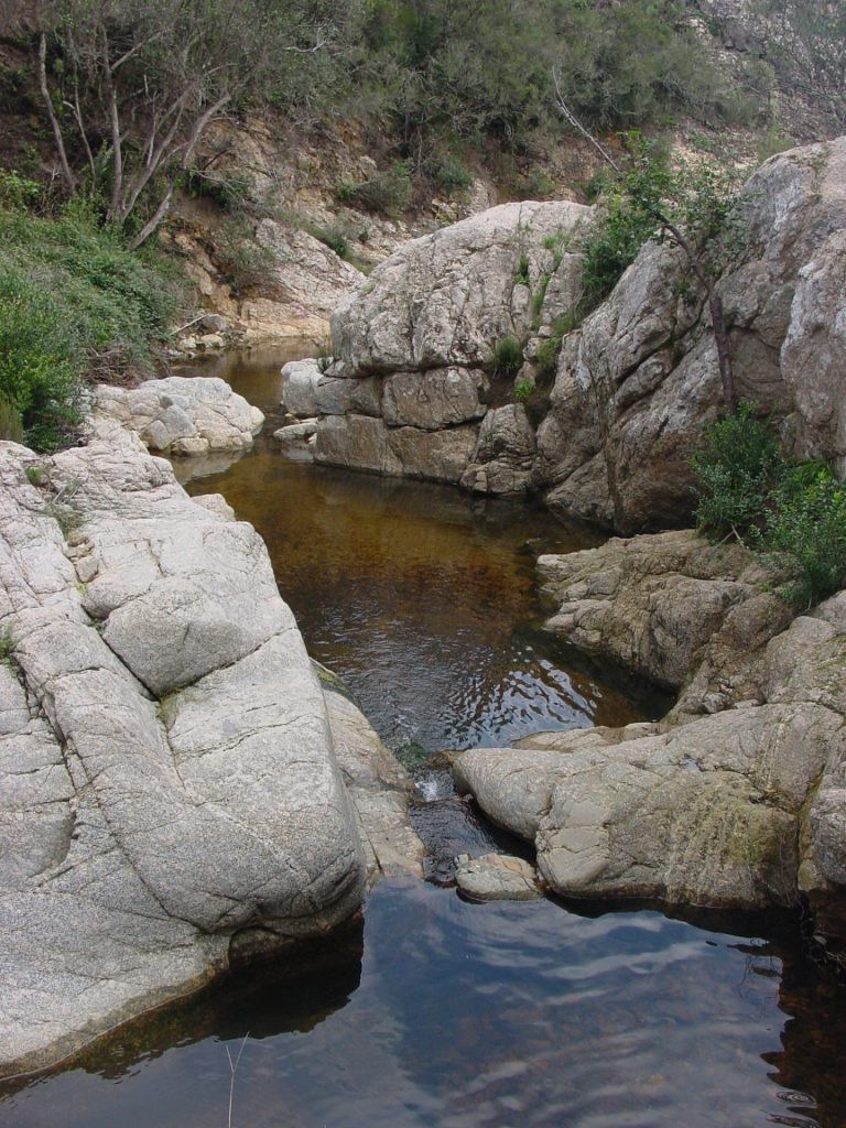 Les petites rieres de les Gavarres ens ofereixen boniques imatges de gorgues com la riera de Camós a la fotografia. Aquí veiem una gorga formada enmig de diàclasis de granit, ben arrodonides.