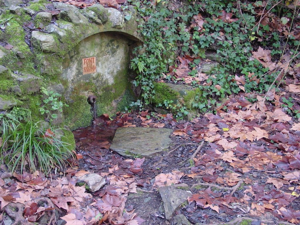 És una de les fonts més actives de les Gavarres. Antigament era un lloc de trobades i berenades de la gent de La Bisbal. La imatge transmet l'ambient humit de la font amb les fulles de plataner al terra i el verdet de les pedres. La font pren el nom d'unes de les famílies benestants del municipi que tenen el mas a prop.