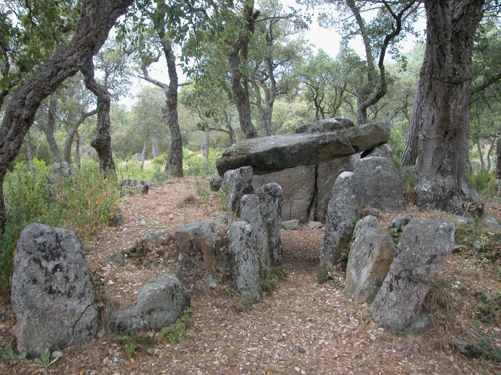 La fotografia és una vista frontal del dolmen del Mas Bouserenys un exemple dels més antics, els anomenats sepulcres de corredor. Aquí distingim el corredor d'accés que s'estreny per delimitar el pas a la cambra funerària. Aquesta conserva una de les lloses. Al voltant podem entreveure el cromlech que aguantaria el túmul de terra que originàriament cobriria l'estructura descrita. Aquest monument es troba enmig d'una sureda a tocar de la urbanització.