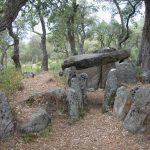 La fotografia és una vista frontal del dolmen del Mas Bouserenys un exemple dels més antics, els anomenats sepulcres de corredor. Aquí distingim el corredor d'accés que s'estreny per delimitar el pas a la cambra funerària. Aquesta conserva una de les lloses. Al voltant podem entreveure el cromlech que aguantaria el túmul de terra que originàriament cobriria l'estructura descrita. Aquest monument es troba enmig d'una sureda a tocar de la urbanització.