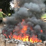 La cuita de calç era una de les activitats tradicionals d'explotació del bosc que havien tingut lloc a les Gavarres.