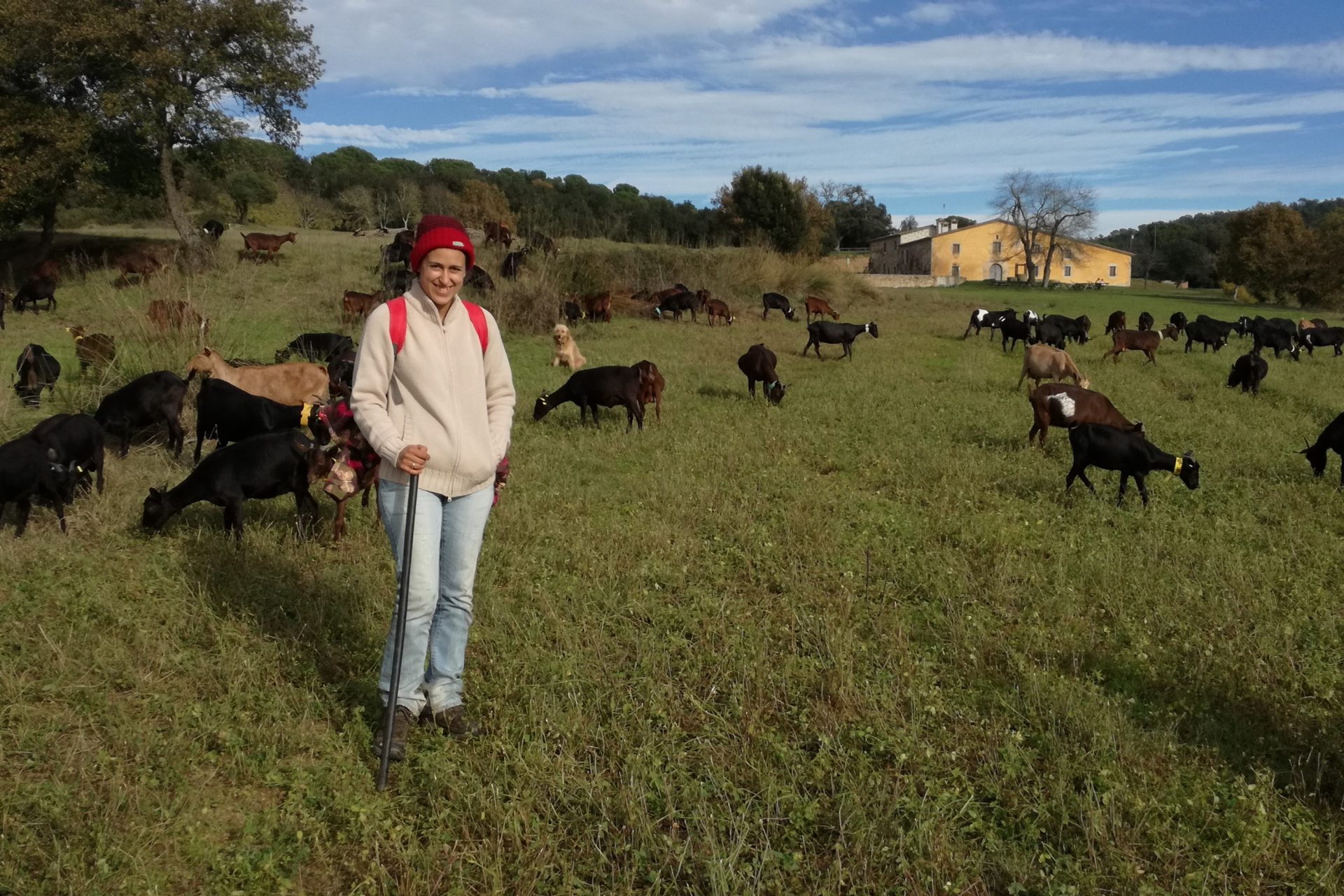 Fotografia de la pastora amb les cabres a la finca de Can Vilallonga