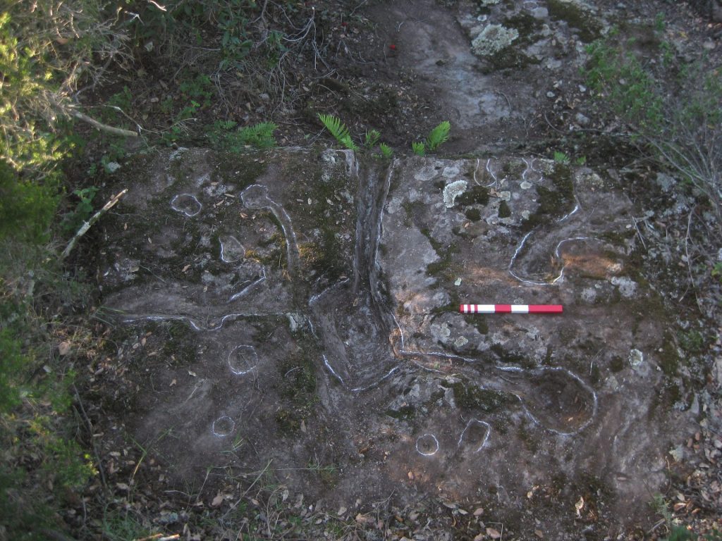 Aquest és un dels conjuts d'inscultures més importants de les Gavarres. Es tracta d'una llosa trobada al Puig Perich de Celrà on hi cassoletes de diferents dimensions unides per reguerons. La més impressionant és la central, de la qual surten tres reguerons, dos van a dues cassoletes i el tercer sobresurt de la pedra. Aquestes cassoletes se'ls hi atribueix una cronologia megalítica, si bé a Celrà no s'hi ha localitzat cap dolmen, cista o menhir si que hi ha la petjada humana amb representacions com aquestes. No es sap del cert si tindrien una funció de ritual o territorial.