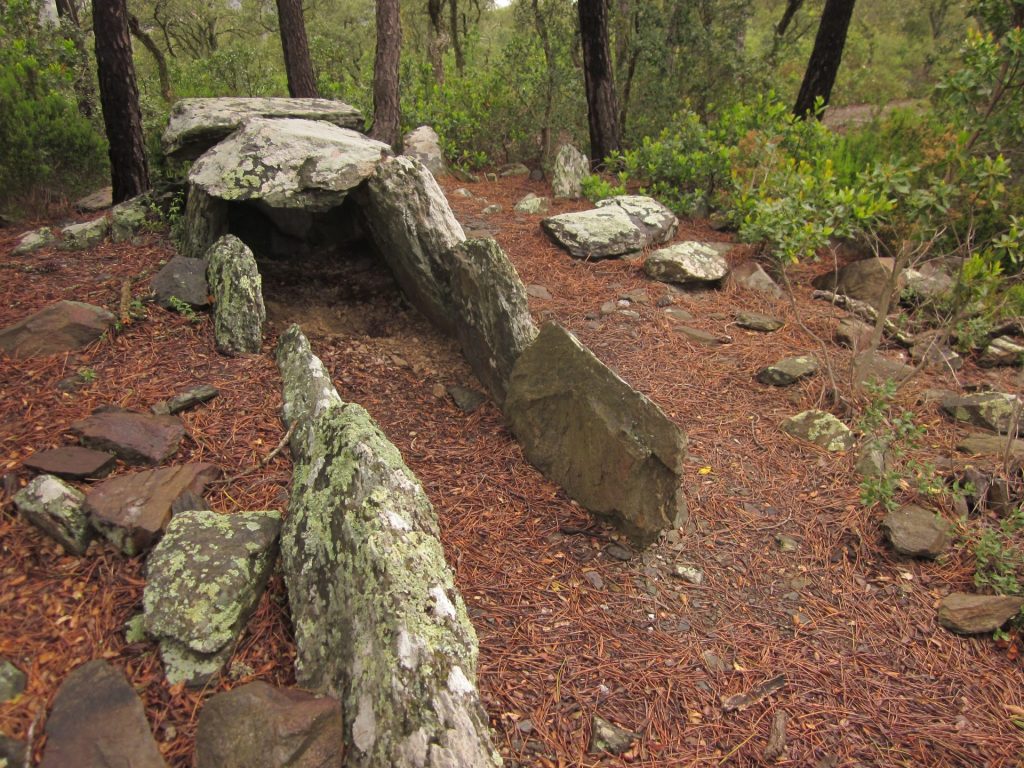 El massís de les Gavarres atresora un important patrimoni megalític. La zona de Fitor és una de les que ostenta més concentració d'aquests elements. A la imatge és veu el dolmen del Mas Estanyet, en el qual si observa l'entrada, el corredor d'accés i la cambra funerària al fons. Aquesta es composa per unes lloses que la delimitant-la i unes altres que la cobreixen. Al voltant d'aquesta estructura també és visible el cromlech, un cinturó de pedres que aguantava el túmul de terra que tapava l'estructura de pedra. El que veiem avui dia amb la imatge hem d'imaginar que s'enterrava.
