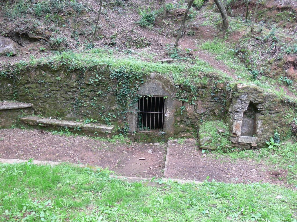 Al costat de la font del Ferro de Girona, trobem la font del Mas Pi. La font és de tipus biot i l'obertura que té es troba tancada per una reixa. L'obertura està emmarcada amb grans pedres treballades. La pedra superior té esculpida una pinya. Al costat hi ha una petita construcció amb un petit forat per on deuria sortir aigua. Aquesta font ja no raja. L'espai també compta amb uns bancs per seure.