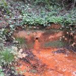 En el camí del Jonquet anant de Fonteta a Fitor, trobem la Font d'en Plaja. És una font ferrosa com ho denota tot el precipitat en tons vermells i taronges que tenyeix tot el camí que fa l'aigua. El bassal de davant del broc es veu tot completament de color taronja.