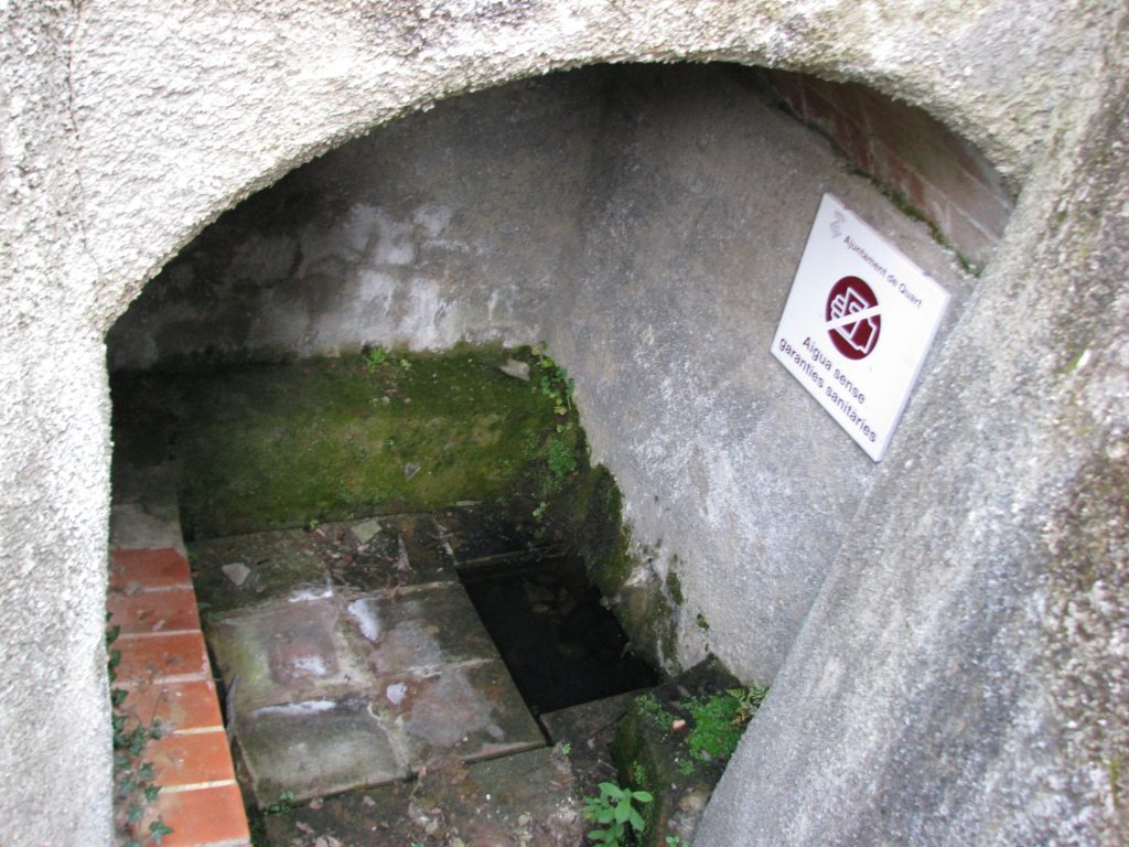 La font de Sant Dalmau a Quart consta amb una estructura construïda amb esglaons i volta formigonada, ja que es troba a un nivell inferior del nivell de circulació. El lloc compta amb una figura de Sant Dalmau i una petita àrea de lleure. La font sol tenir aigua, com es veu a la imatge.
