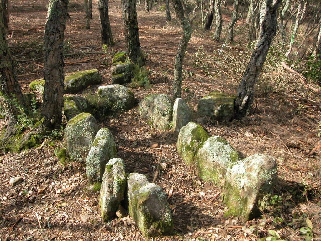 Les cistes eren monuments megalítics anteriors als dolmens i eren tombes individuals o de dos individus enterrats al mateix moment. Son caixes de pedres que un cop es tancaven no es tornaven a utilitzar. La de la imatge està molt ben conservada, te onze lloses in situ i tres que es troben un xic desplaçades de la seva ubicació original. La cista es troba enmig d'una sureda al costat de la carretera que puja de Calonge a Romanyà. Aquest últim nucli de població és un dels grans focus en megalitisme a les Gavarres.