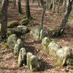 Les cistes eren monuments megalítics anteriors als dolmens i eren tombes individuals o de dos individus enterrats al mateix moment. Son caixes de pedres que un cop es tancaven no es tornaven a utilitzar. La de la imatge està molt ben conservada, te onze lloses in situ i tres que es troben un xic desplaçades de la seva ubicació original. La cista es troba enmig d'una sureda al costat de la carretera que puja de Calonge a Romanyà. Aquest últim nucli de població és un dels grans focus en megalitisme a les Gavarres.