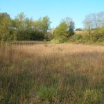 A les Gavarres tenim pocs espais oberts, és a dir, espais com el de la fotografia sense bosc. És molt important mantenir els antics conreus com a prats o com a llocs erms per afavorir la biodiversitat i la prevenció d'incendis.