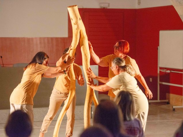 La presentació del Festival Art i Gavarres va tenir lloc a la Mercè a Girona.