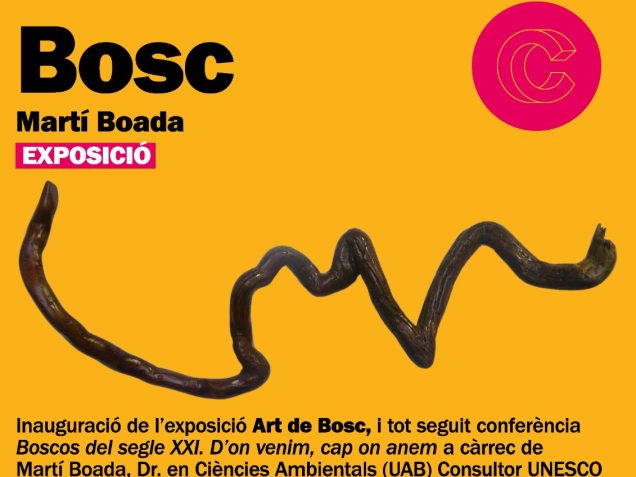 exposició Art de Bosc cassà de la selva gavarres