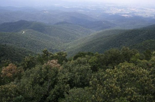massa forestal massís de les gavarres