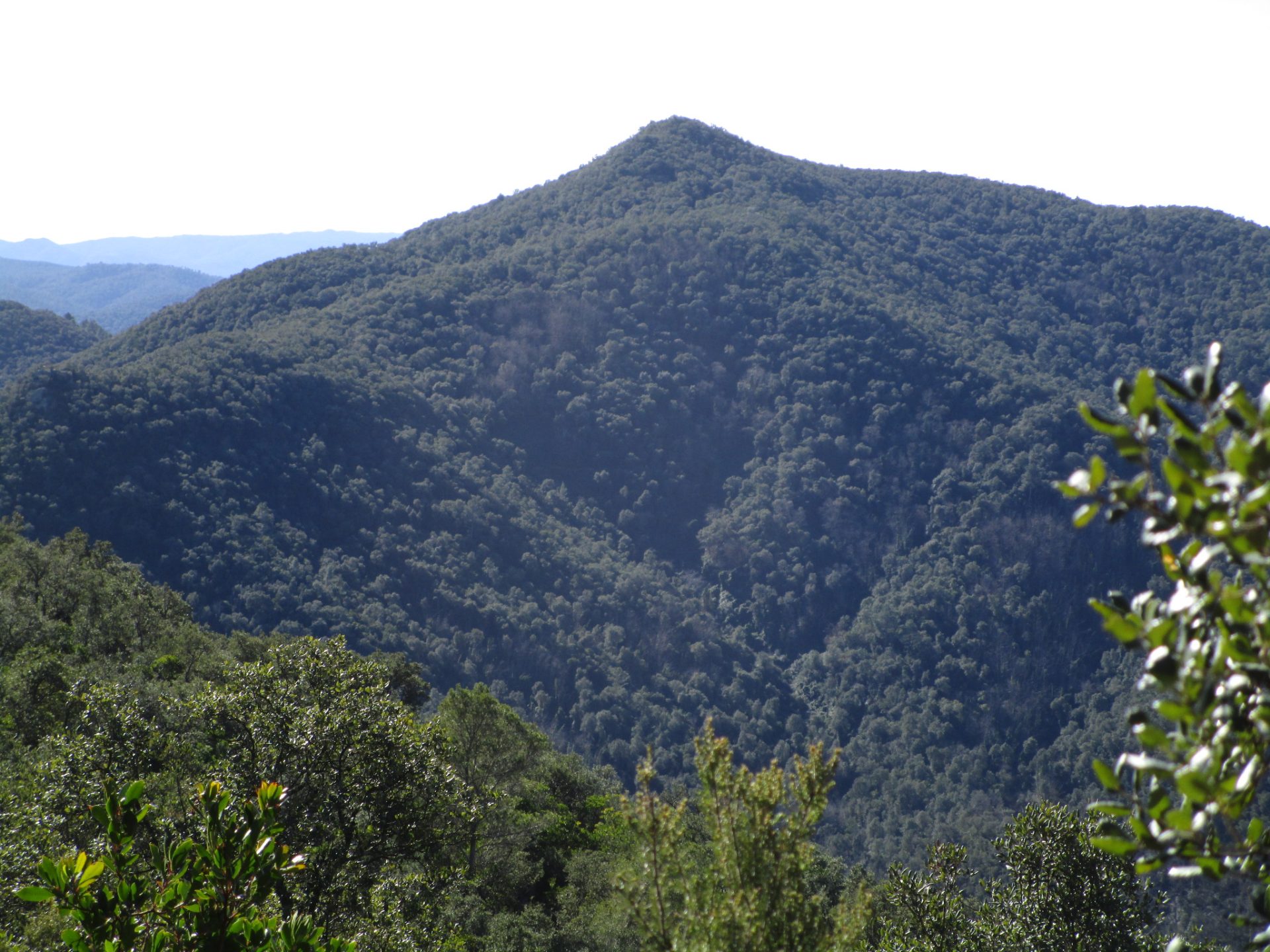 Perfil de la muntanya del Montigalar on destaca la forma accentuada del seu cim.
