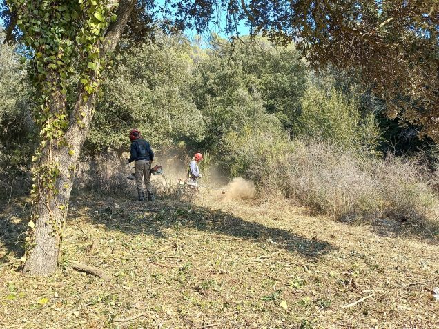 Treballs d'estassada a Can Bruguera per reforçar la prevenció d'incendis a Quart