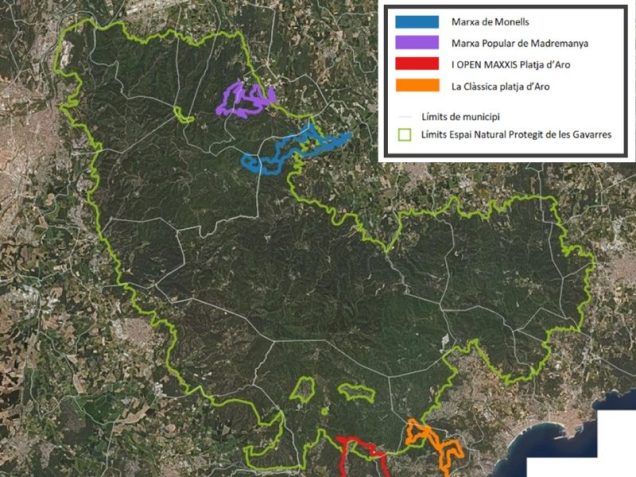 cursa gavarres 3 trimestre 2024