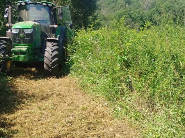 Manteniment d’espais oberts per la preservació de la vegetació de prat