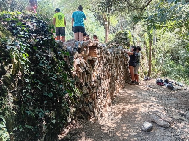 Un grup de joves participen en la cinquena edició del camp de treball “Gavarres: natura i cultura” a Girona
