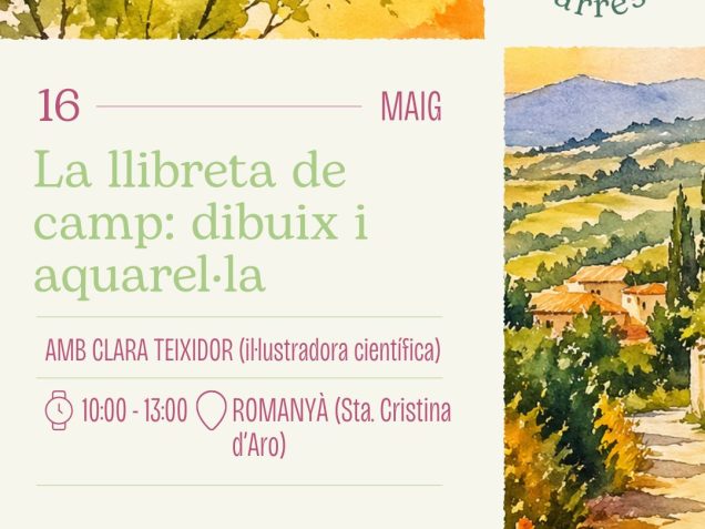 cartell de l'activitat amb la informació