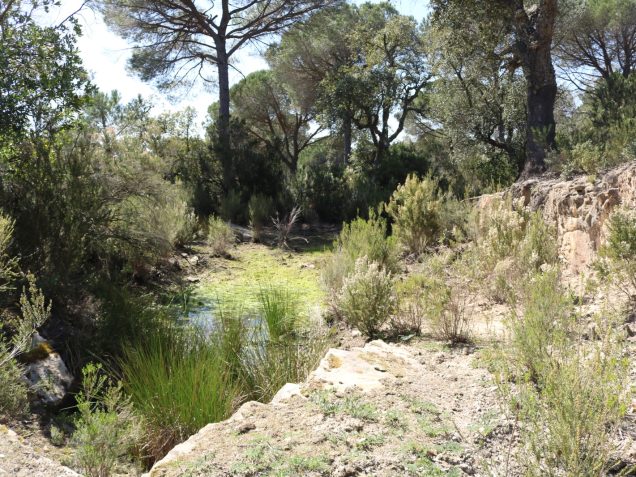 la finca del tossal de Can Bóta, a Llagostera