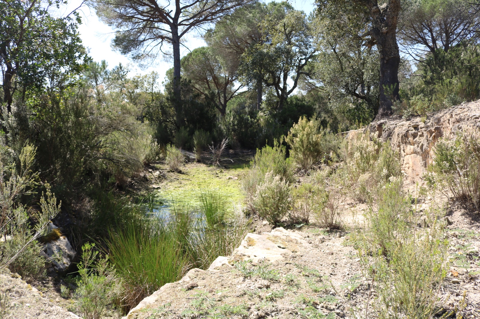 la finca del tossal de Can Bóta, a Llagostera