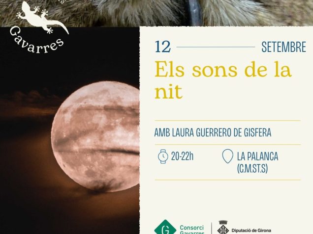 Cartell de l'activitat sons nocturns amb la seva informació