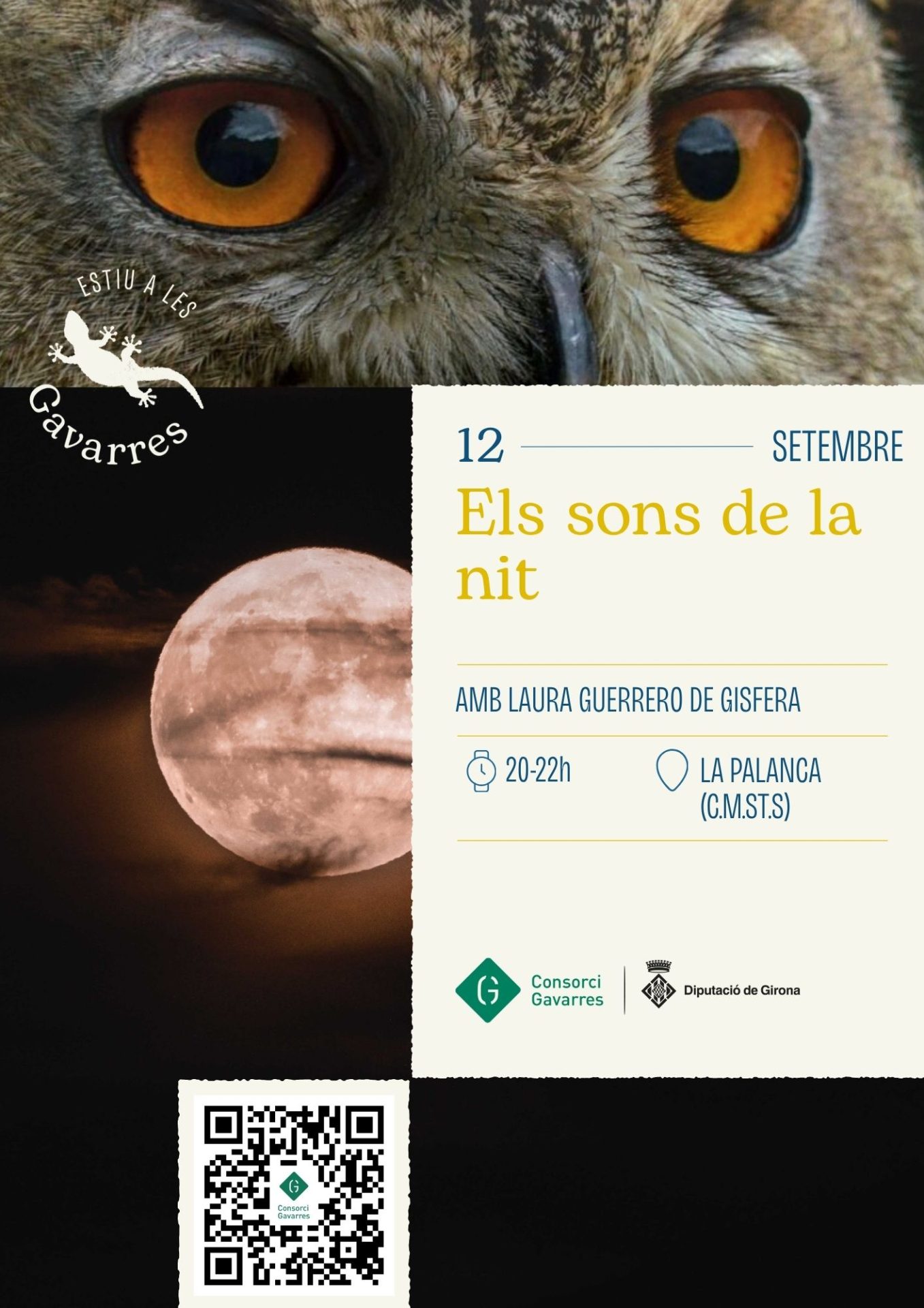Cartell de l'activitat sons nocturns amb la seva informació
