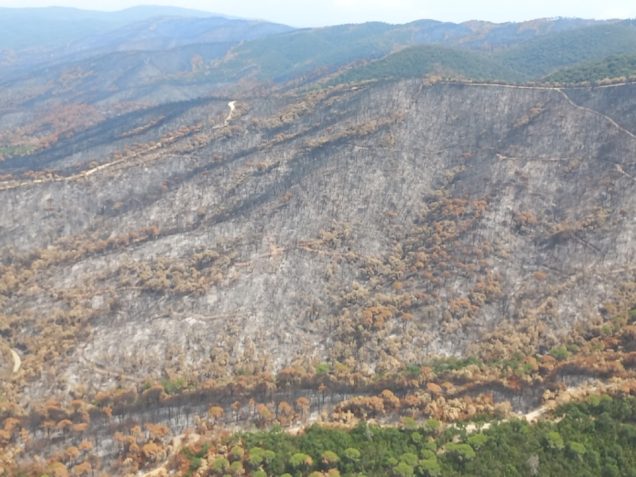 incendi gavarres 2026 juliol